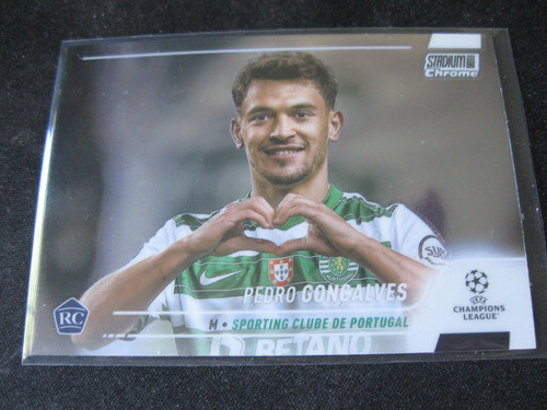 Pedro goncalves 2021 - pedro,